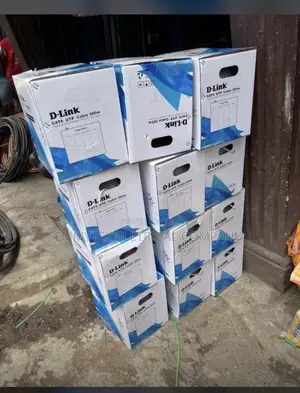 D-Link Cat 6 Cable Network Cable