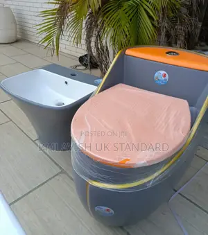 Smart Egg Shape Water Closet Set With Suspended