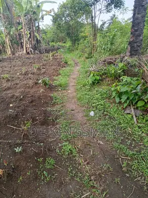 Land Available at Igwuruta Omuwie Omuoka Farm Road