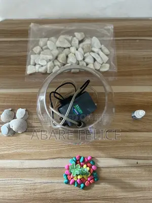 Fish Aquarium Bowl