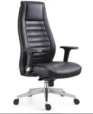 Executive Economic Office Chair