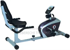 Lazy Bike for Home /Personal Use