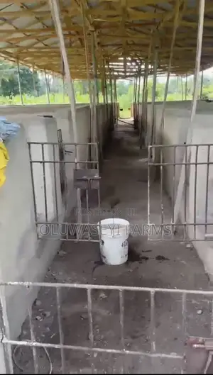 Pig Farm for Sale