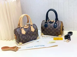 Louis Vuitton Luxury Women's Handbags Best Quality Well Banded Package