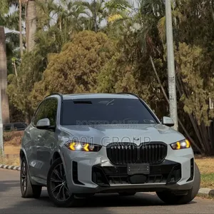 BMW X5 2025 Gray