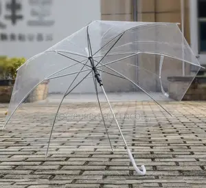 Transparent Umbrella