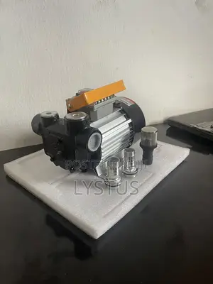 Electric Diesel Fuel Transfer Pump: Model Yb60, Ac220v