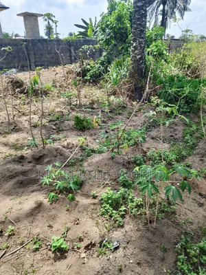 One Plot of Land at Igbo Eche Road