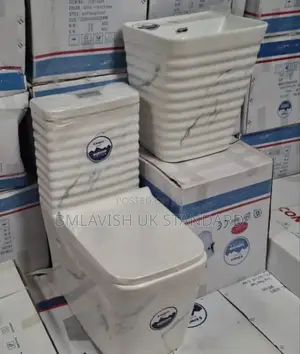 Executive Set of Imported Luxury Water Closet With Basin