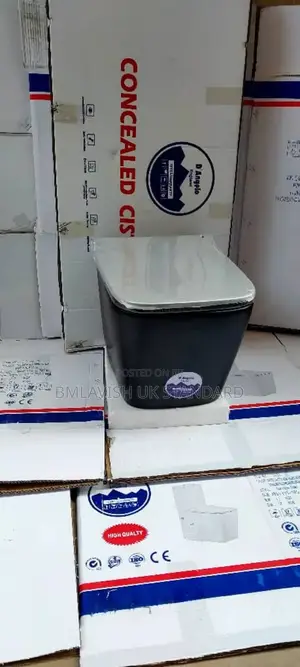 Complete Set of Black Concealed Water Closet With Tank and Accessories