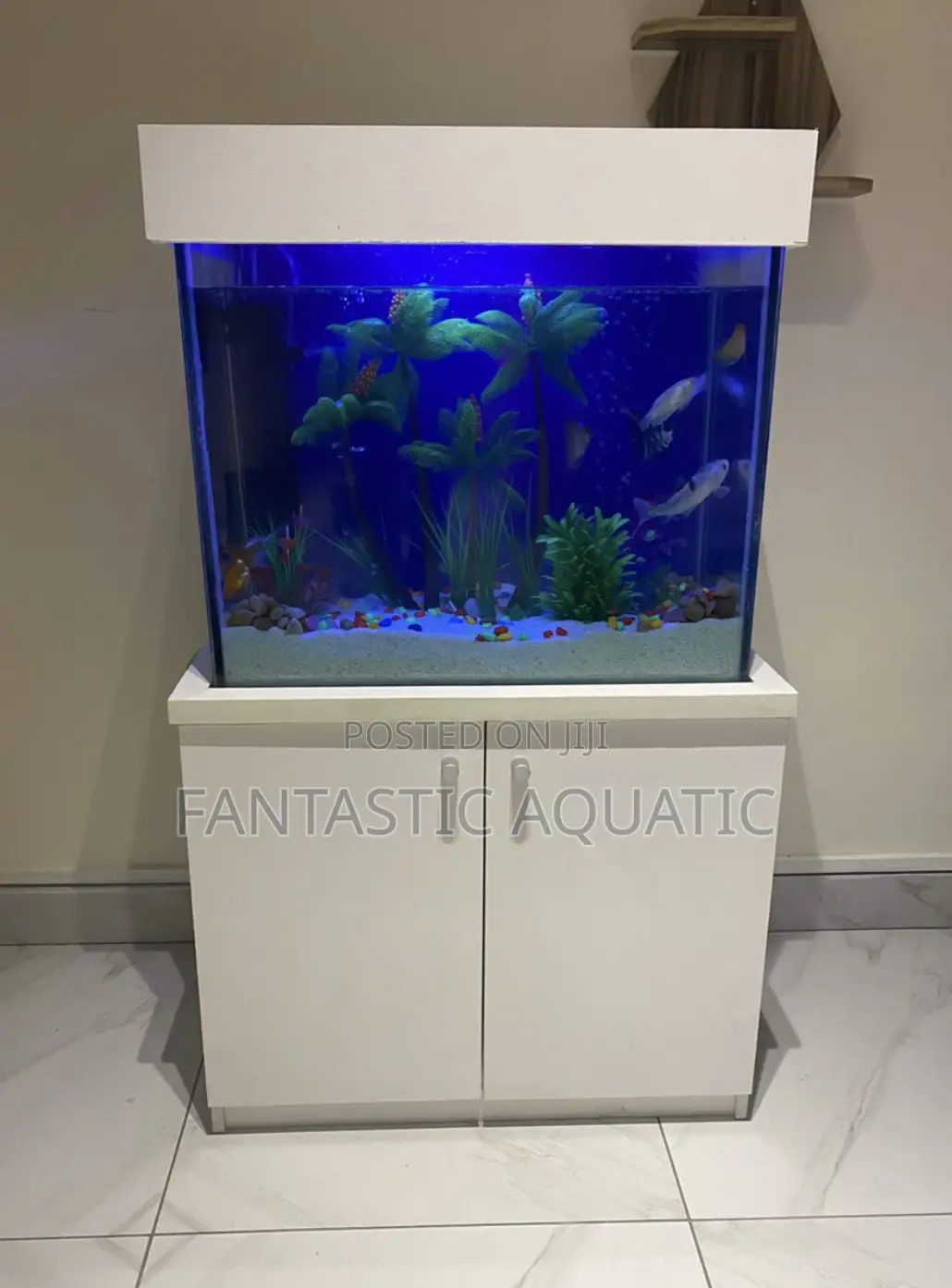 Aquarium With Stand