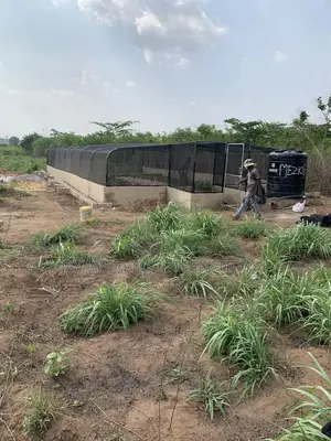 Green House Construction