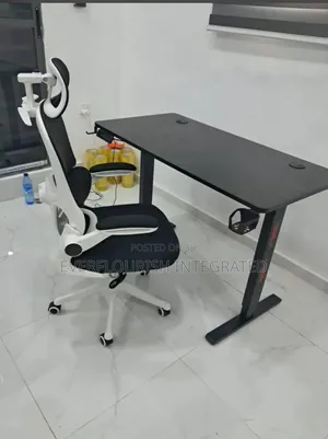 Electric Adjustable Office Desk With Ergonomic Chair