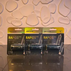 Hiksemi 1tb Rapids Pro Dual Usb 3.2 Gen 2 SSD Drive
