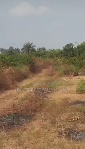 Decent Plot of Land Available for Sale in Owerri