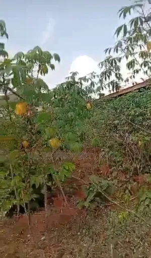 Land Available for Sale in Owerri