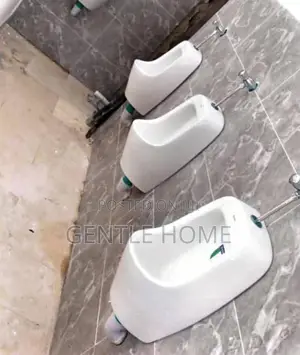 Urinal Bowl