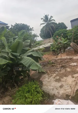 Half Plot of Land at Orisunbare