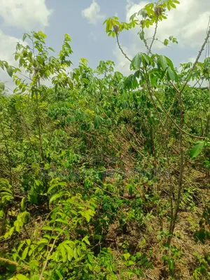 Acre of Farm Land at Adegbokan Village Isiun
