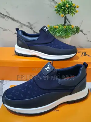 Louis Vuitton Men’S Premuim Shoe
