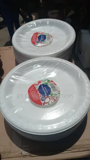 10inch Disposable Plate