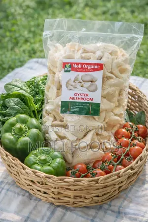 Moli Foods Mushroom Farming Training in Nigeria Batch B