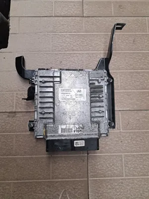 Sonata 2017 Model Brain Box