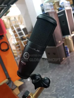 Akg P120 Studio Condenser Microphone