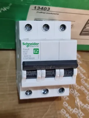 Schneider Electric Easy9 Miniature Circuit Breaker (Mcb)