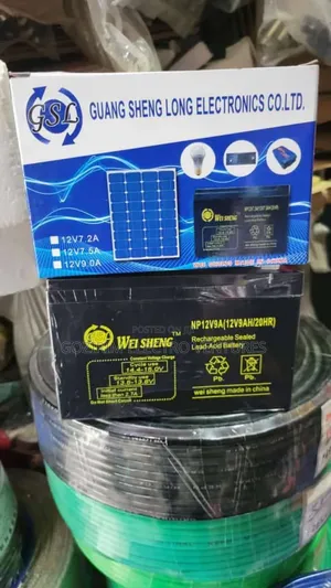 12v 9 Weisheng Battery