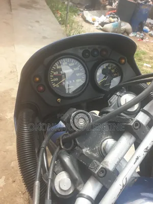 Kawasaki KLX 250 2001 Blue