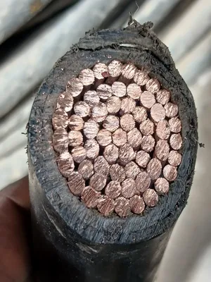 1x630mm2 PVC/PVC 600/1000 Volts