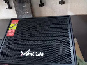 High Quality 12inches Virgin Speaker