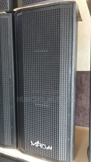 High Quality Full Range Virgin Speaker