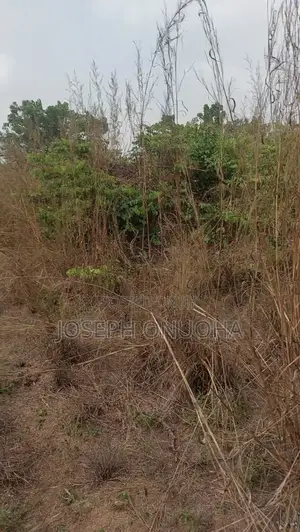 A Plot of Land at Okuko Road, Amakohia Ubi, Owerri West