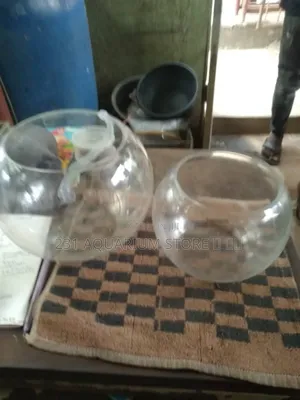 Empty Fish Bowl