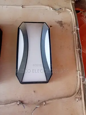 Security Light
