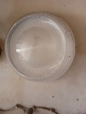 Security Light