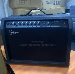 Smiger Tg-40- Mic Lead Guitar Combo or Amplifier
