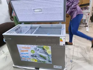 Snowsea 250l Chest Freezer Bd370 Cold Storage System