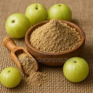 Amla Powder -100g
