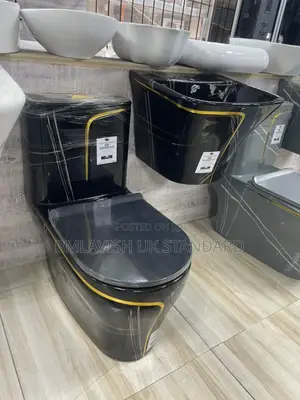 Luxury Black and Gold Water Closet and Hanging Basin Set