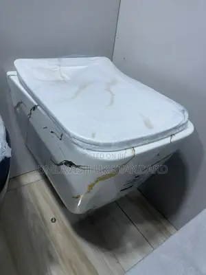 Modern Marble Wall-Hung Concealed Water Closet With Design