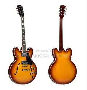 Les Paul or Jazz Guitar Professional