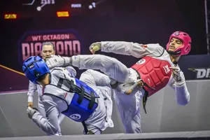 Taekwondo Coach