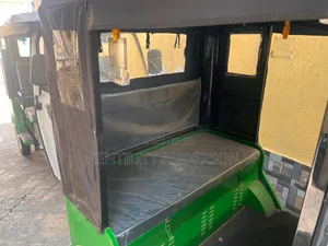 New Tricycle 2026 Green