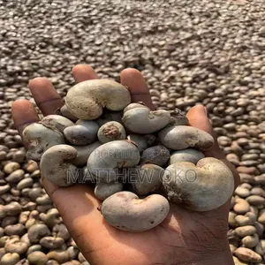 Cashew Nuts