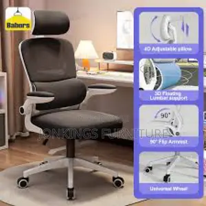 Ergonomic Mesh Office Chair With Adjustable Arm Rest