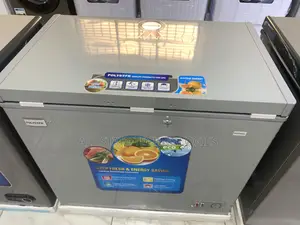 322l Polystar Deep Freezer Pv-Cf322gl Brand New