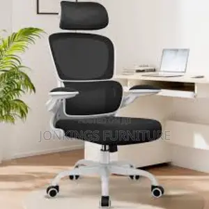 Premium Ergonomic Mesh Chair